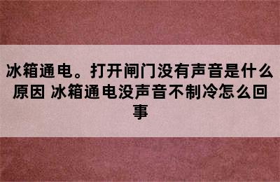 冰箱通电。打开闸门没有声音是什么原因 冰箱通电没声音不制冷怎么回事